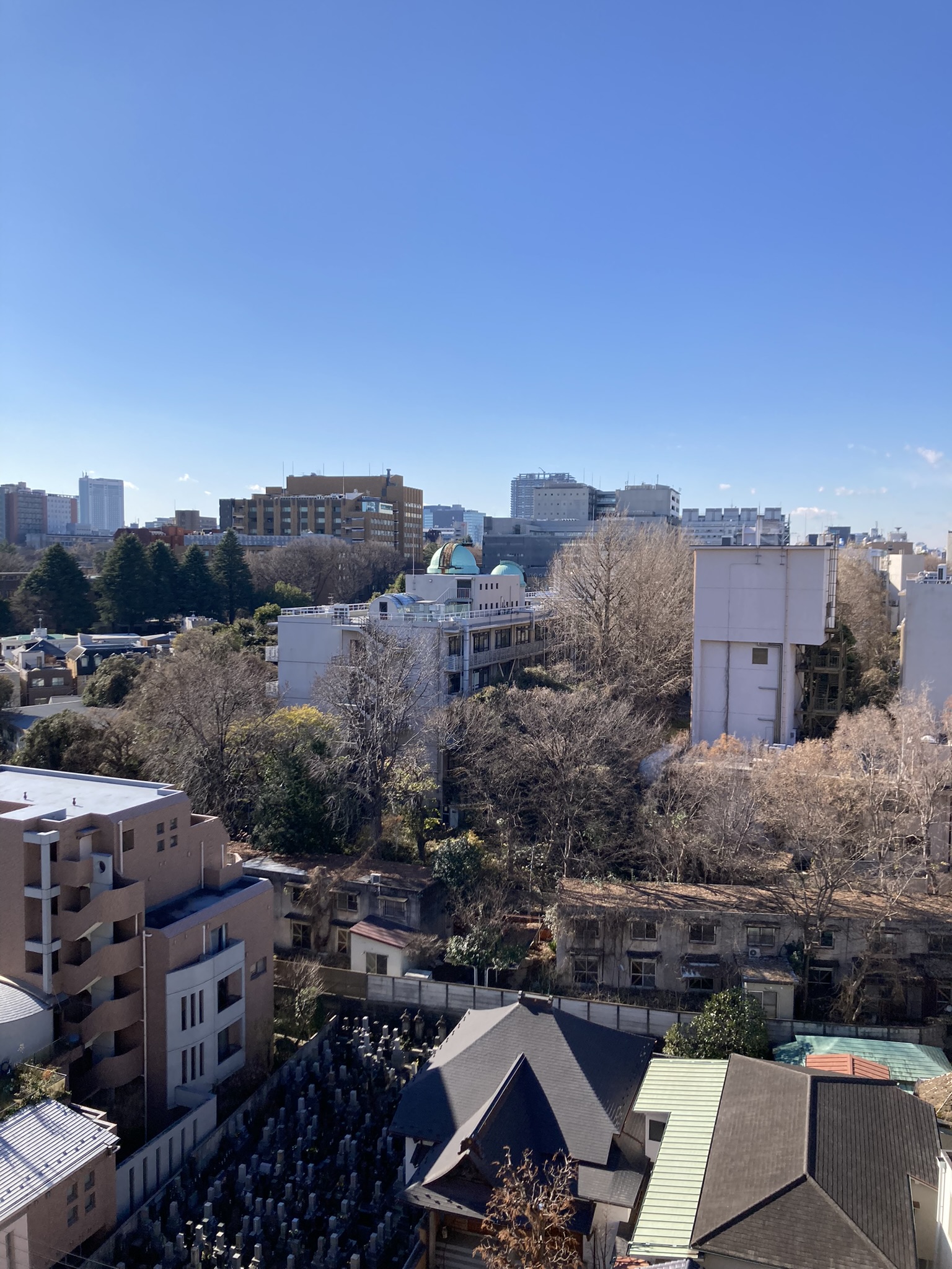 飛躍の一年に！！