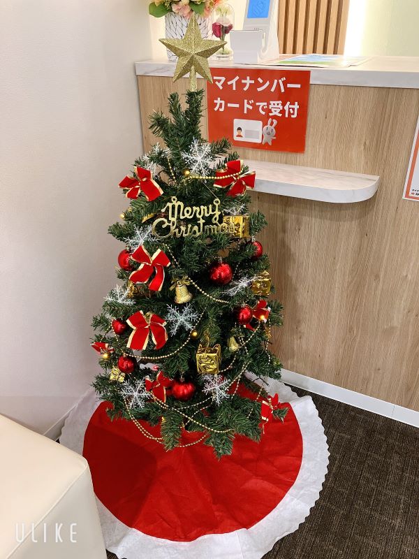 今年もクリスマスツリーを飾りました🎄